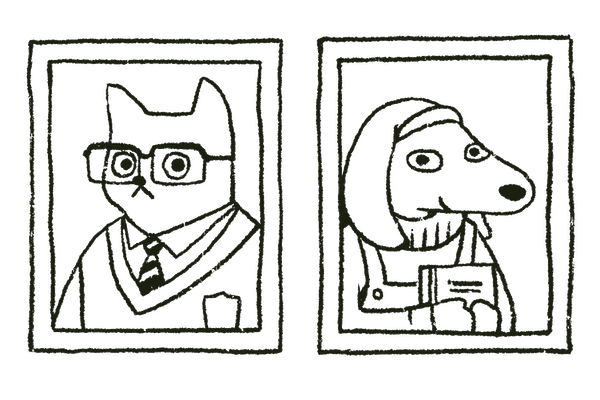 01 - Build your pet's profile
